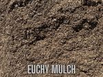 EuchyMulch.jpg