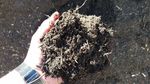 OrganicCompost.jpg